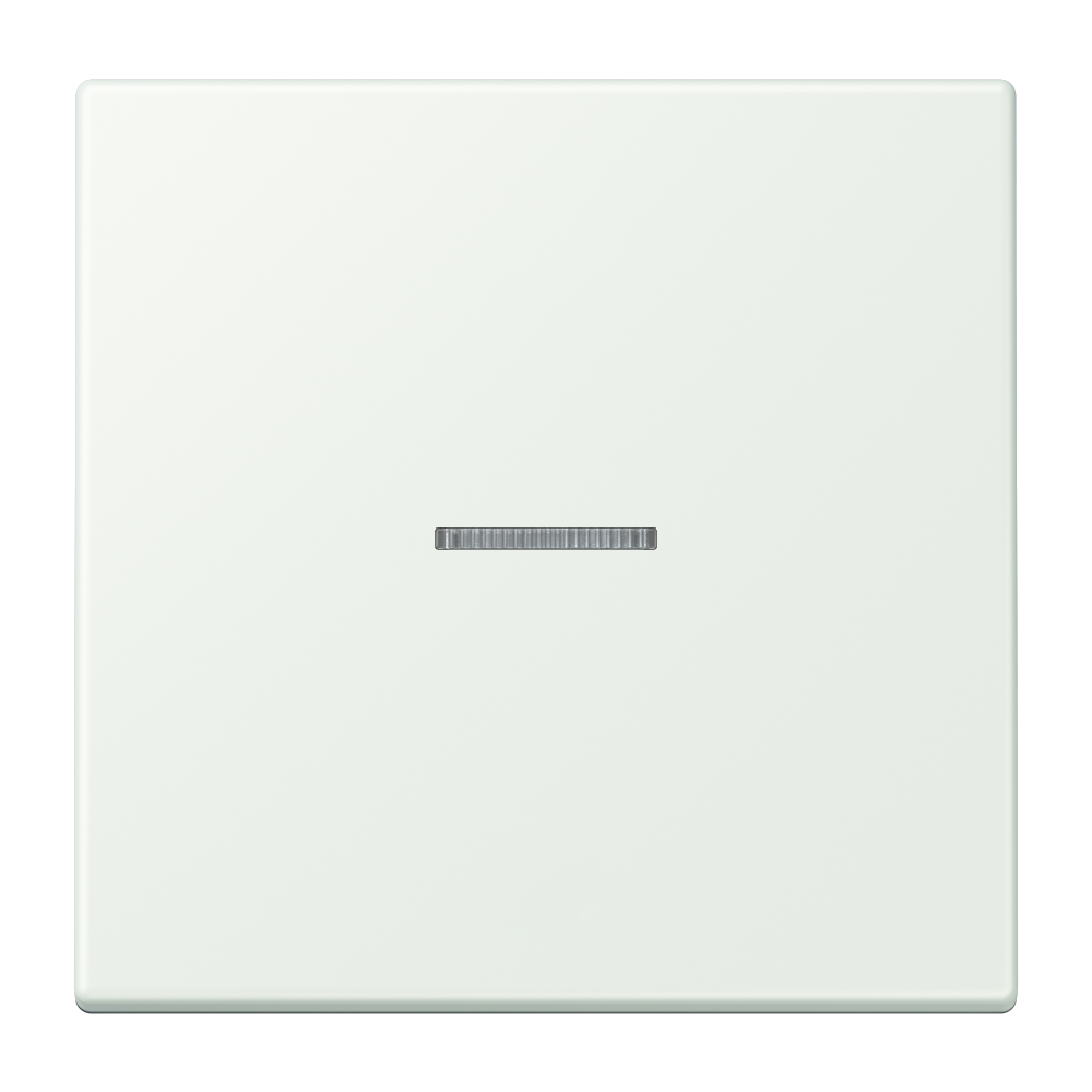 JUNG Bedienelement 1f out_gri m.Abd mt BT LC 17101 210 f.Dimmeins f.Schalteins