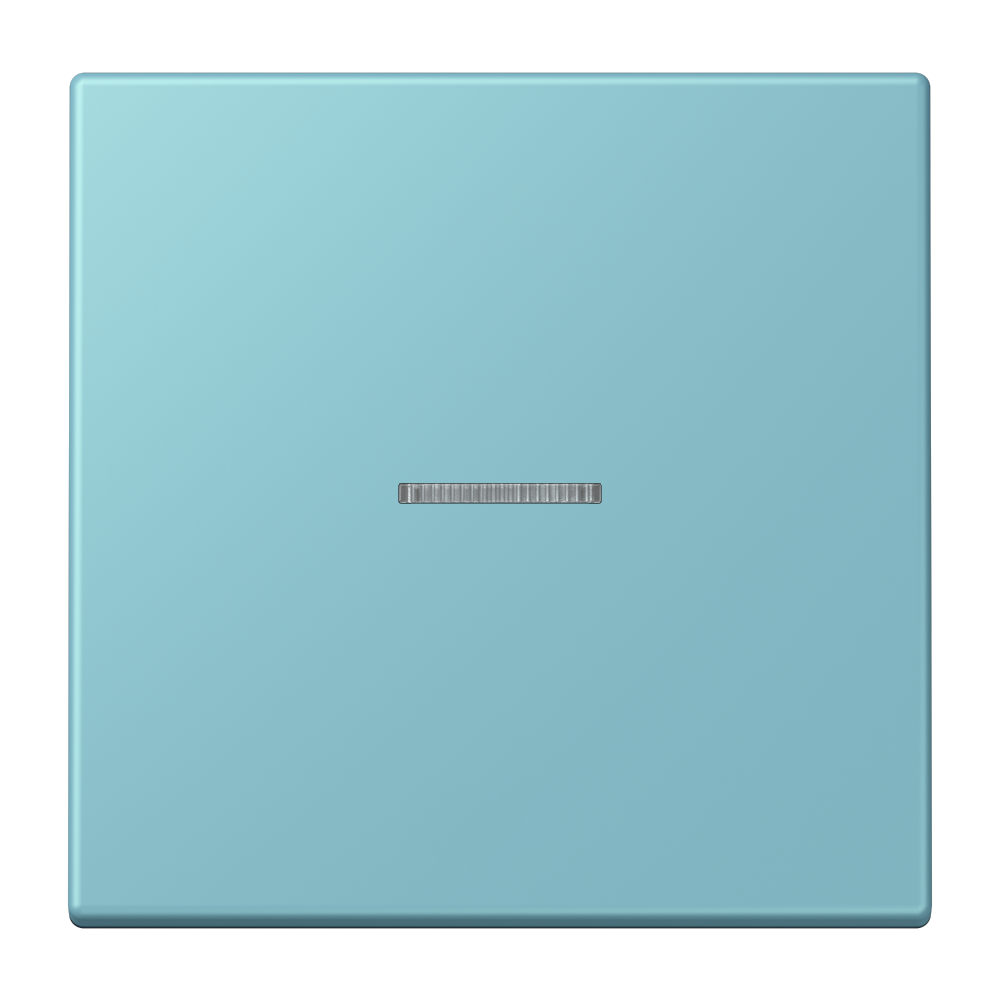 JUNG Bedienelement 1f cer_moy m.Abd mt BT LC 17101 213 f.Dimmeins f.Schalteins