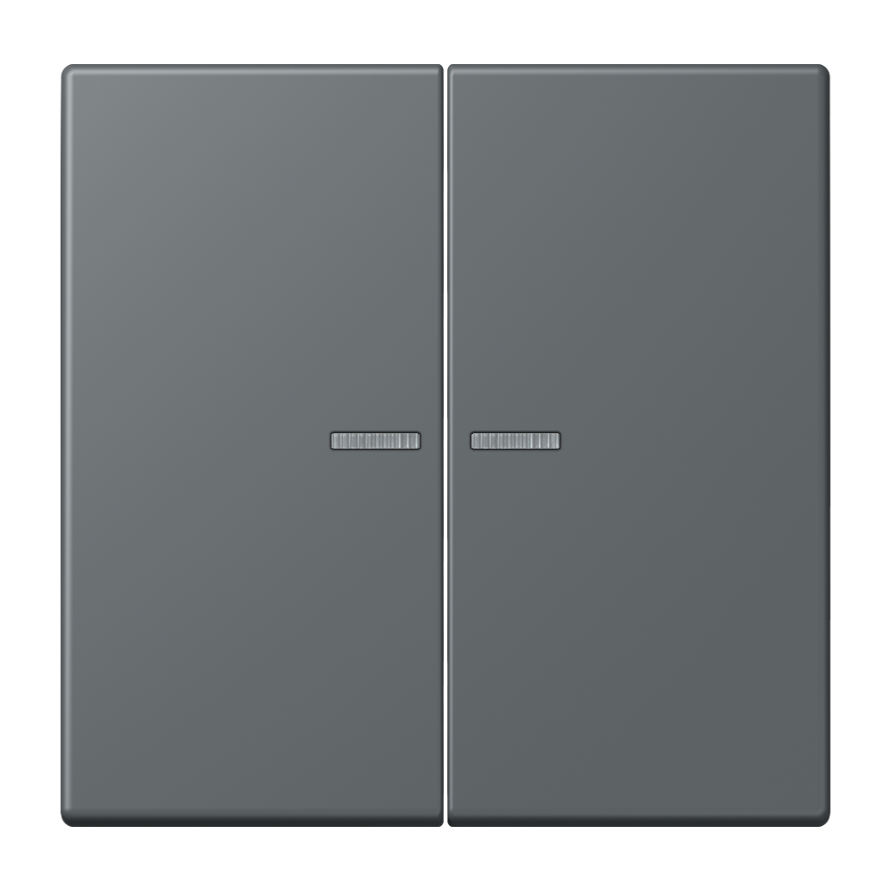 JUNG Bedienelement 2f gri_fon_31 m.Abd BT LC 17102 202 f.Dimmeins f.Schalteins