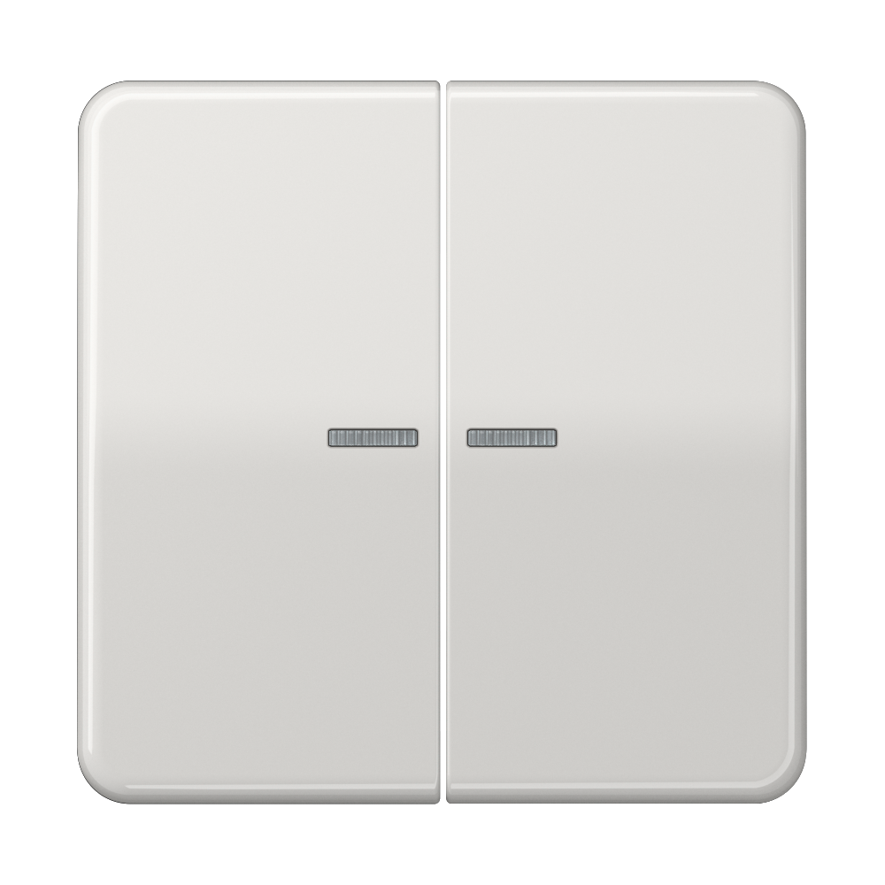 JUNG Wippe Serien Schalter lgr glz CD 102 KO5 LG