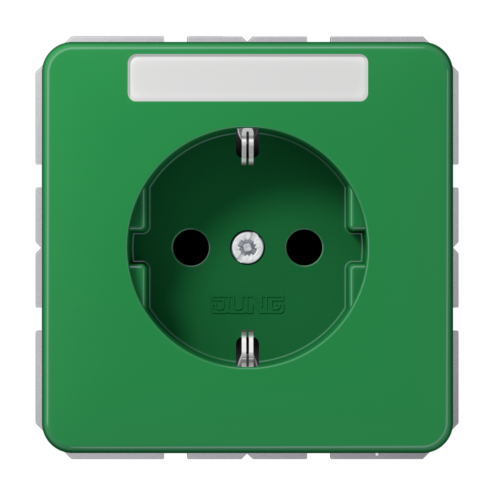 JUNG Steckdose 1f gn glz UP IP20 BSF CD 1520 BFNA GN vert