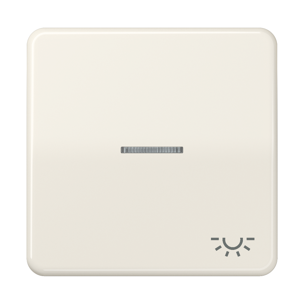 JUNG Kontrollwippe Schalter ws glz CD 590 KO5L Licht