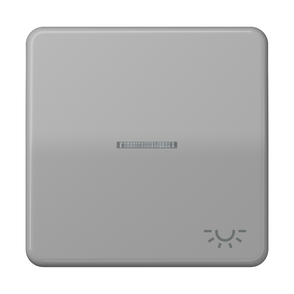 JUNG Kontrollwippe Schalter lgr glz CD 590 KO5L GR Licht