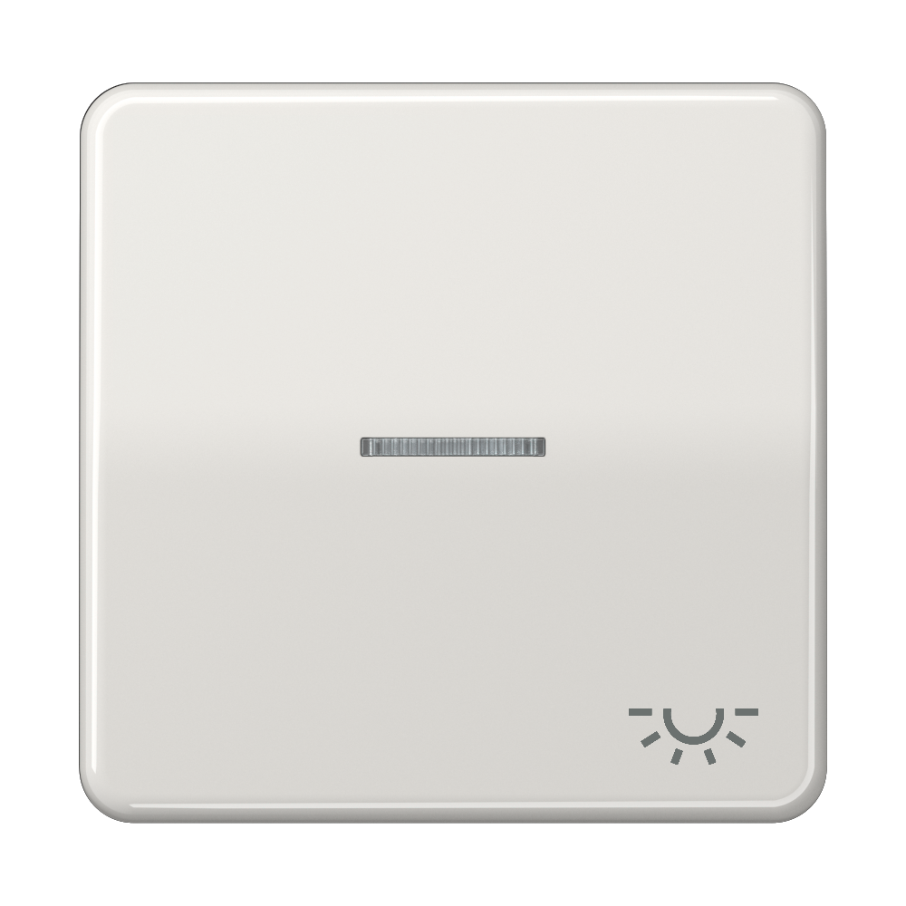 JUNG Kontrollwippe Schalter lgr glz CD 590 KO5L LG Licht