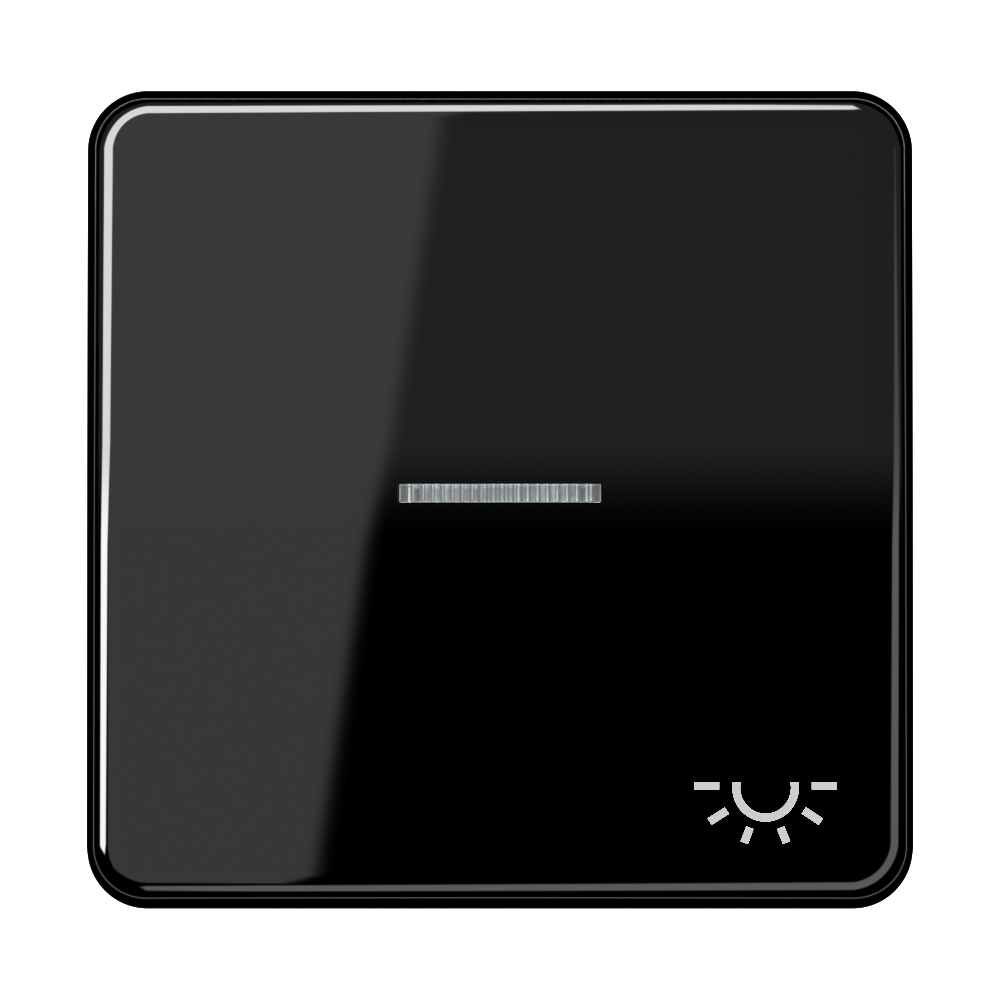 JUNG Kontrollwippe Schalter sw glz CD 590 KO5L SW Licht