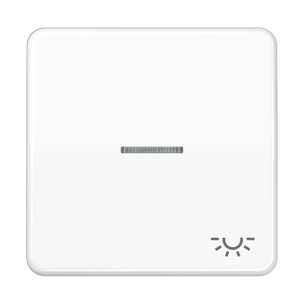 JUNG Kontrollwippe Schalter aws glz CD 590 KO5L WW Licht