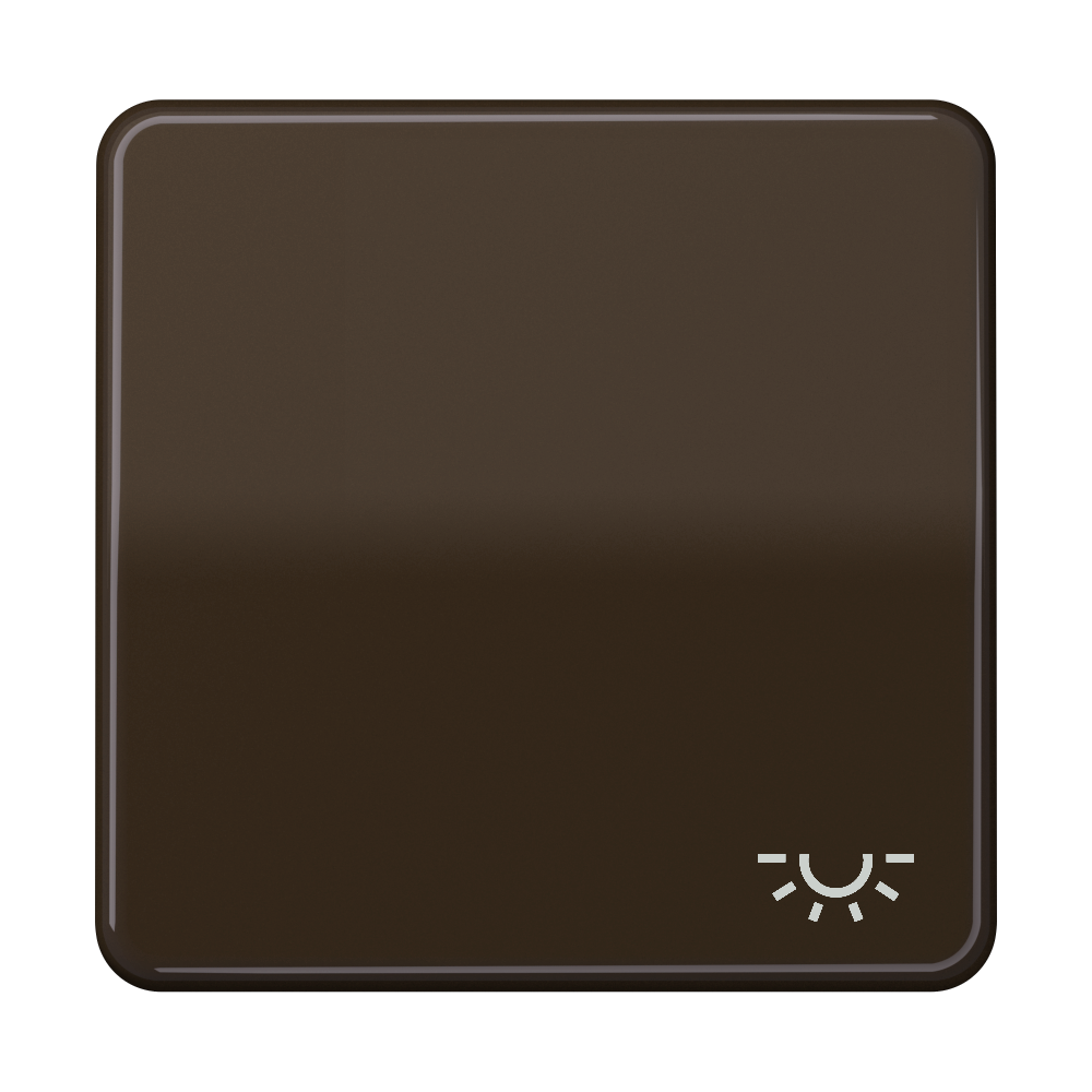 JUNG Wippe Schalter br glz Licht CD 590 L BR