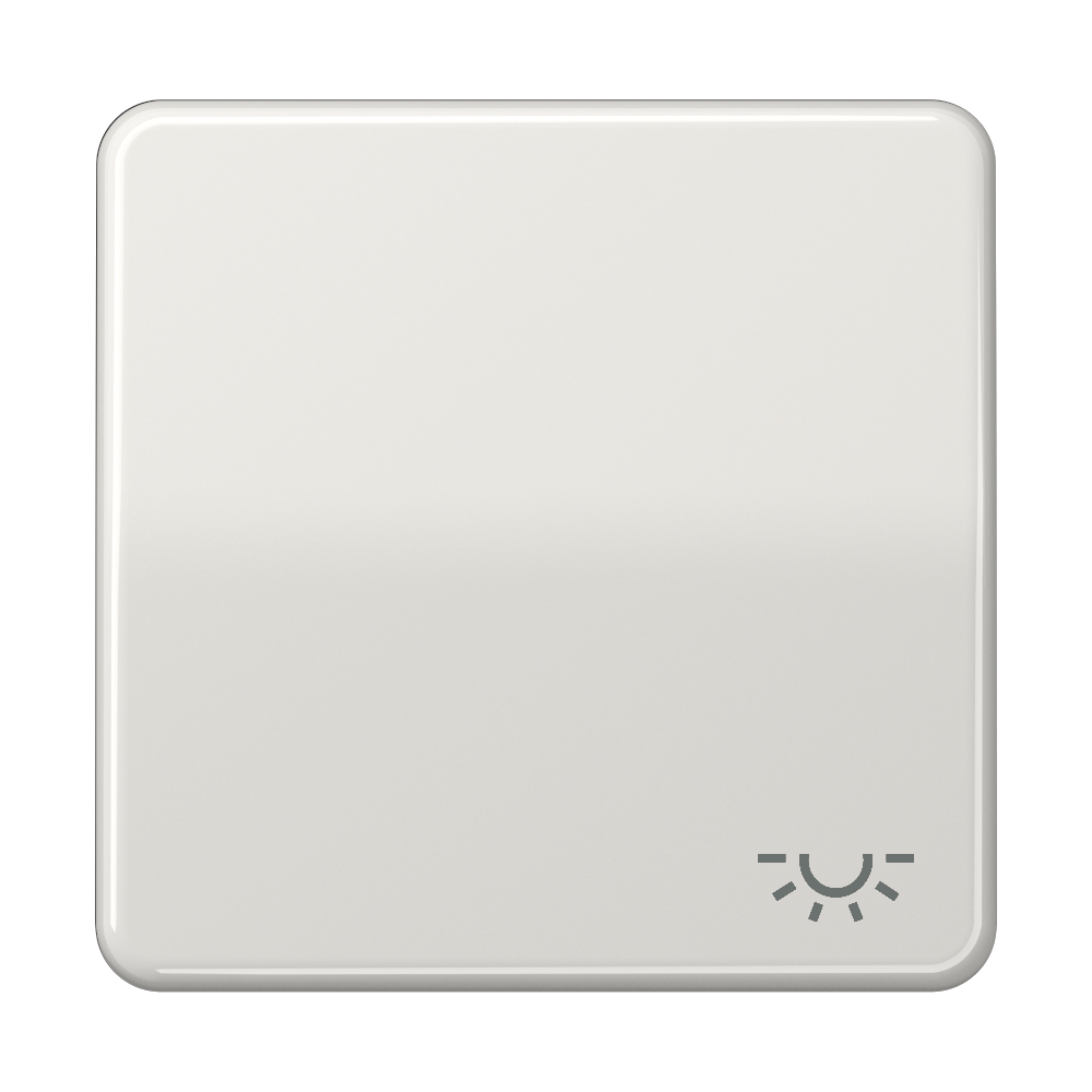 JUNG Wippe Schalter lgr glz Licht CD 590 L LG