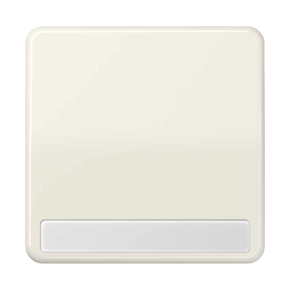 JUNG Wippe Schalter ws glz BSF CD 590 NABF