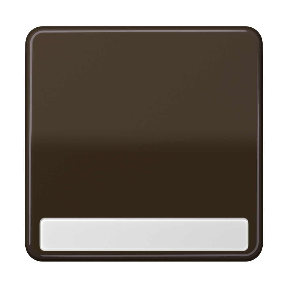 JUNG Wippe Schalter br glz BSF CD 590 NA BR