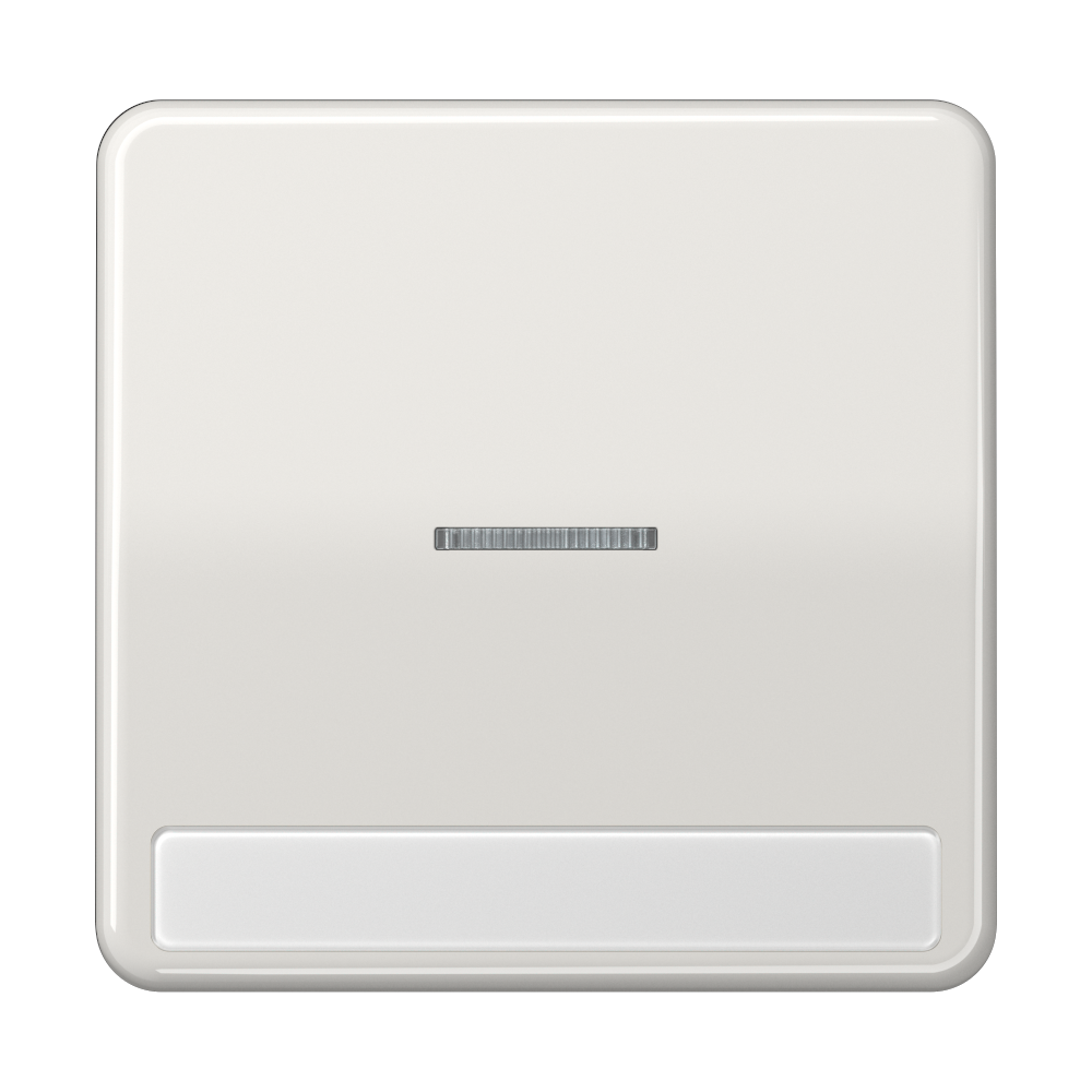 JUNG Kontrollwippe Schalter lgr glz BSF CD 590 NAKO5 LG