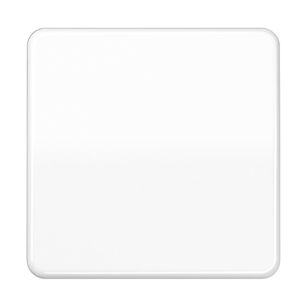 JUNG Wippe Schalter aws glz CD 590 WW