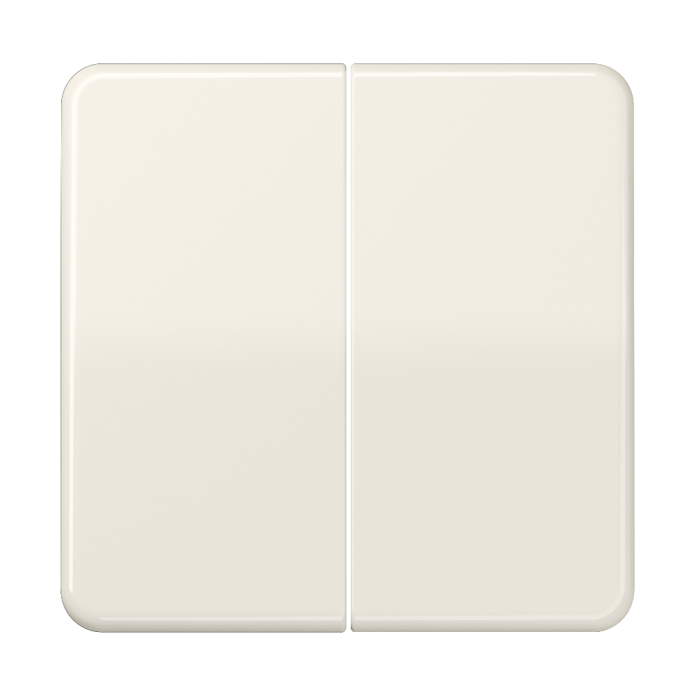 JUNG Wippe Serien Schalter ws glz CD 595 BF