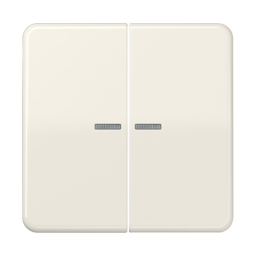 JUNG Wippe Serien Schalter ws glz CD 595 KO5