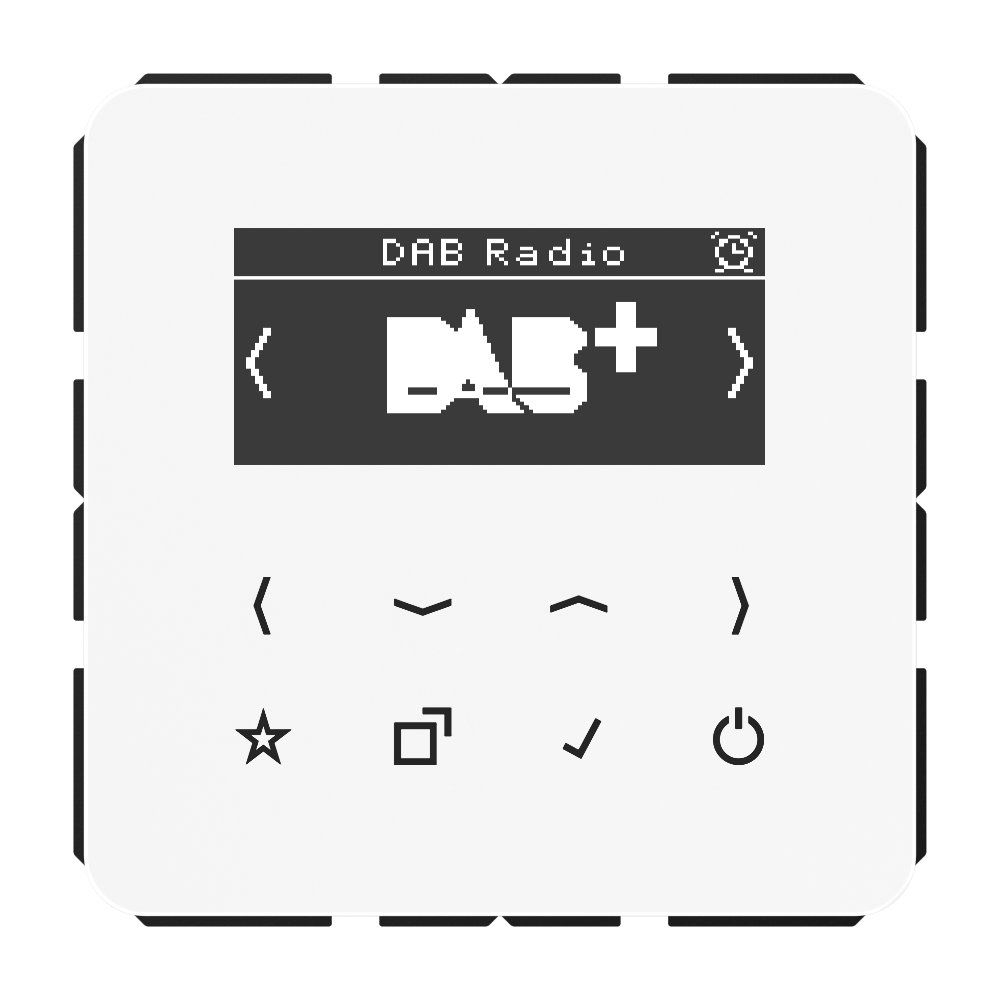 JUNG Radio RDS ws digi 1Weck 16speich CD DAB WW m.NT UKW-Empfänger
