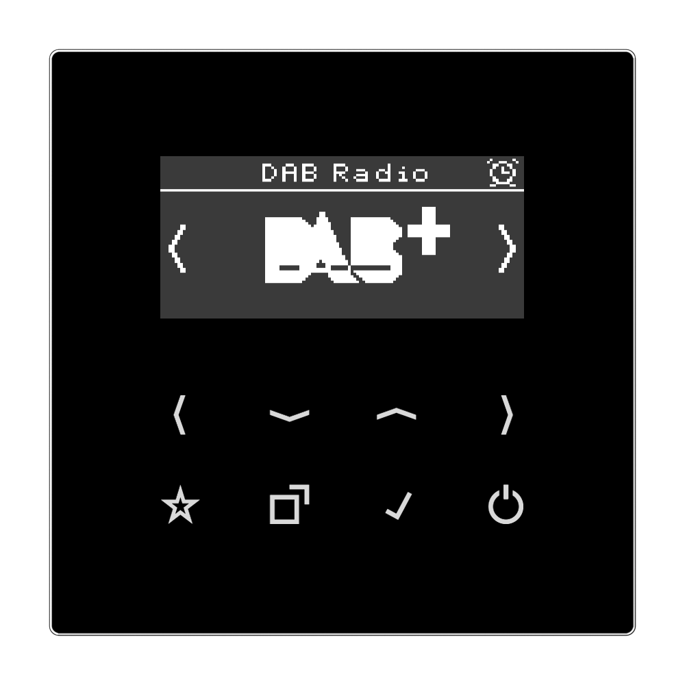 JUNG Radio RDS sw digi 1Weck 16speich LS DAB SW m.NT UKW-Empfänger