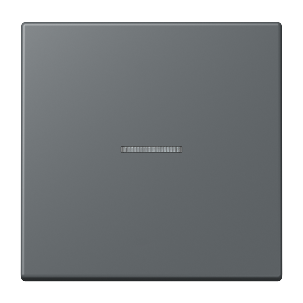 JUNG Bedienelement 1f gri_fon_31 m.Abd LS FM LC 1700 202 f.Dimmeins mt LED