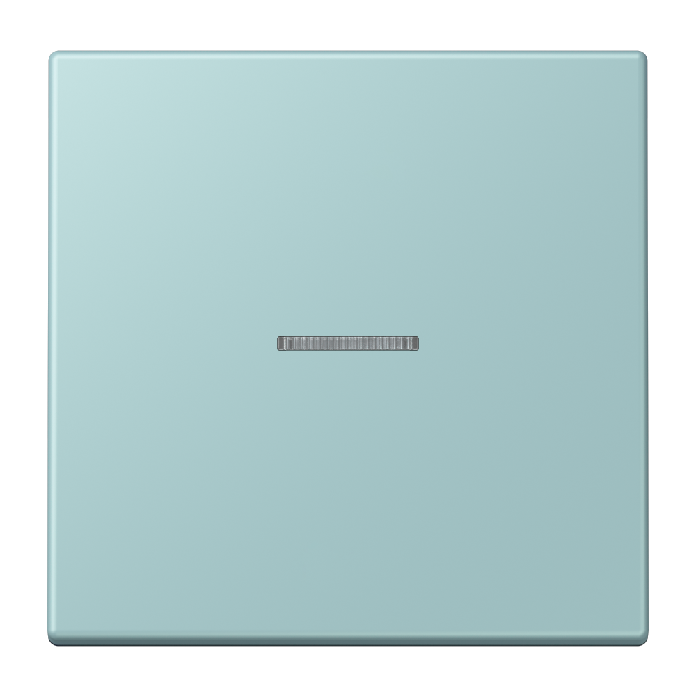 JUNG Bedienelement 1f cer_cla m.Abd mt LS FM LC 1700 214 f.Dimmeins LED