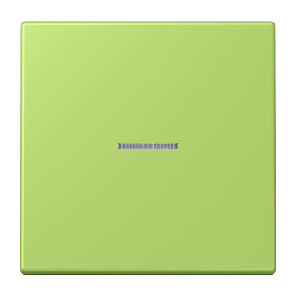 JUNG Bedienelement 1f ver_cla m.Abd mt LS FM LC 1700 221 f.Dimmeins LED