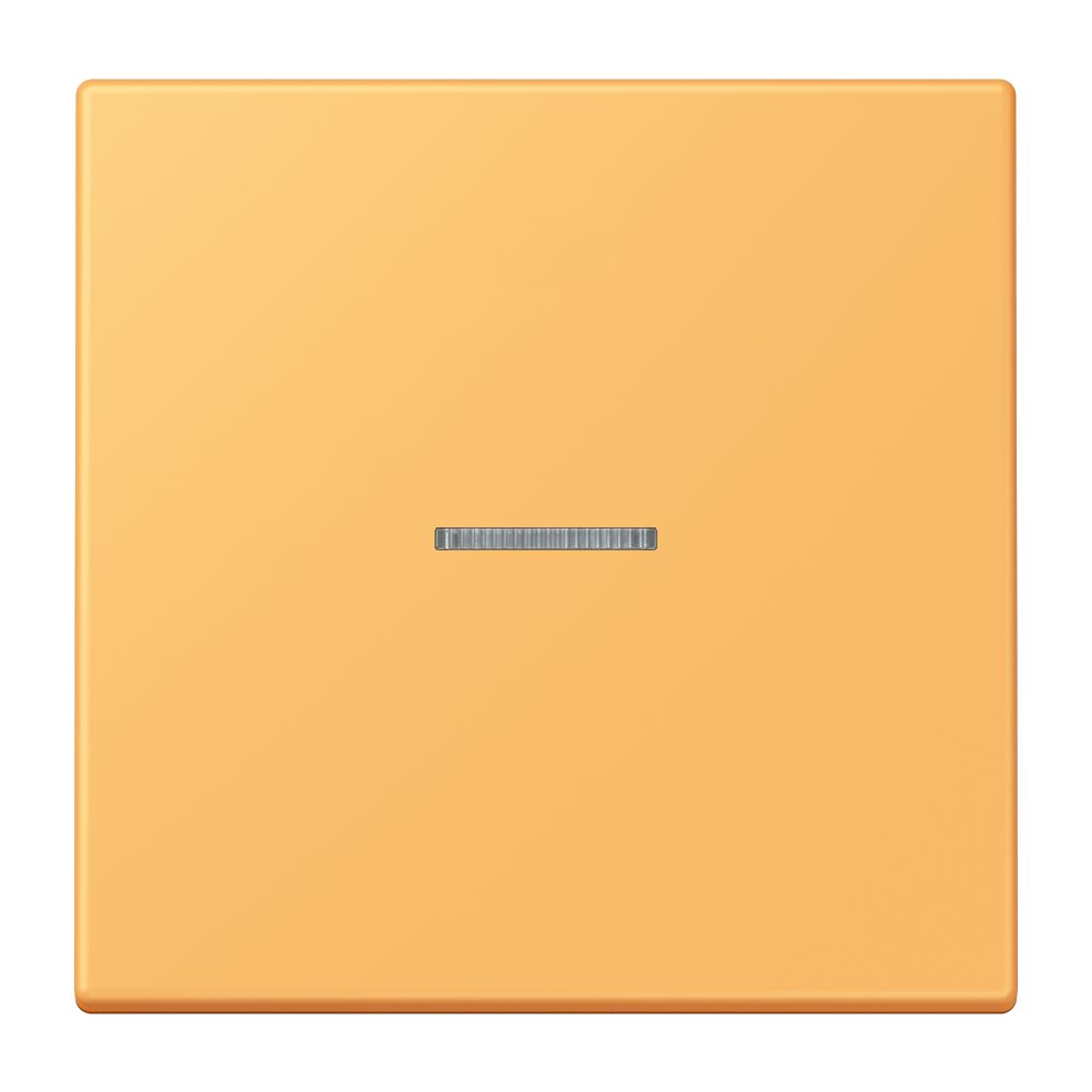 JUNG Bedienelement 1f ocr_jau_cla m.Abd LS FM LC 1700 254 f.Dimmeins mt LED