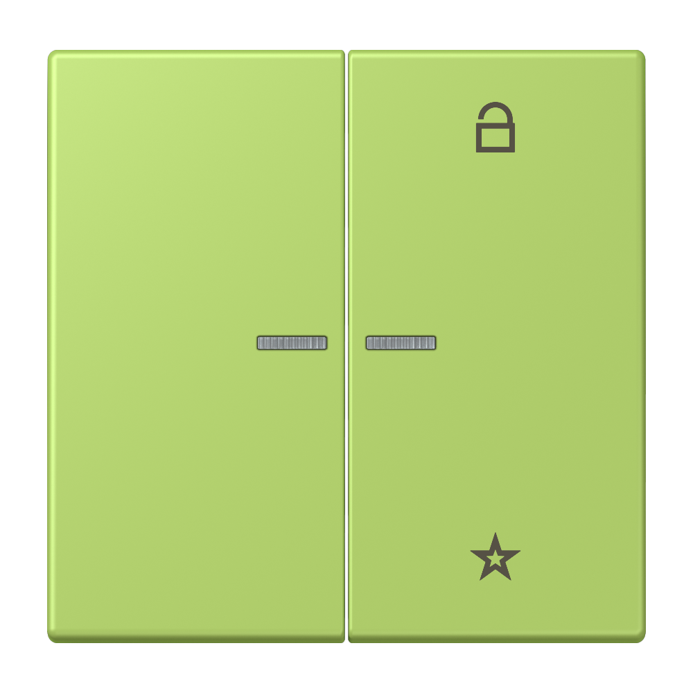 JUNG Bedienelement 2f ver_cla m.Abd glz FM LC 1701 221 f.Dimmeins f.Schalteins