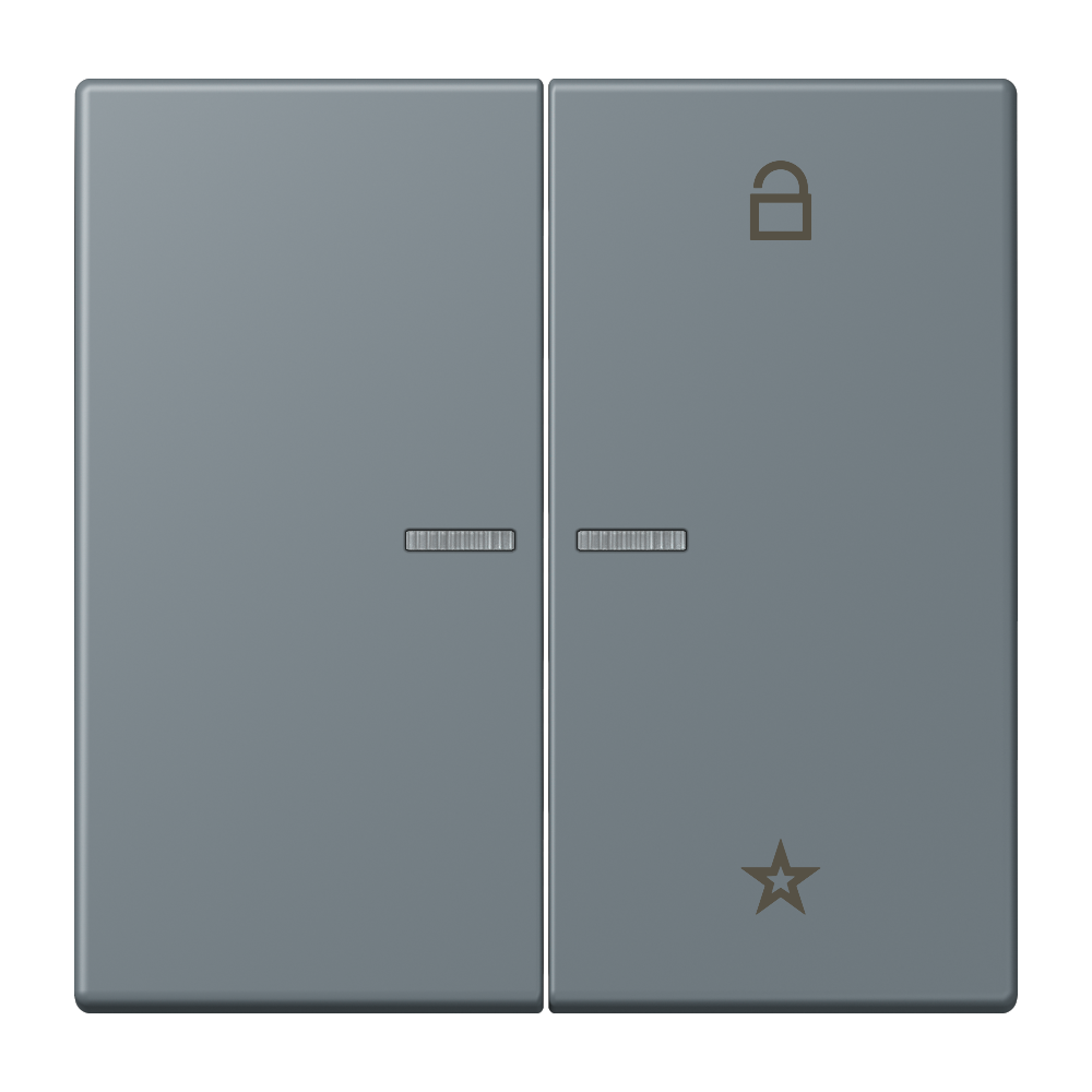JUNG Bedienelement 2f gri_59 m.Abd glz FM LC 1701 251 f.Dimmeins f.Schalteins