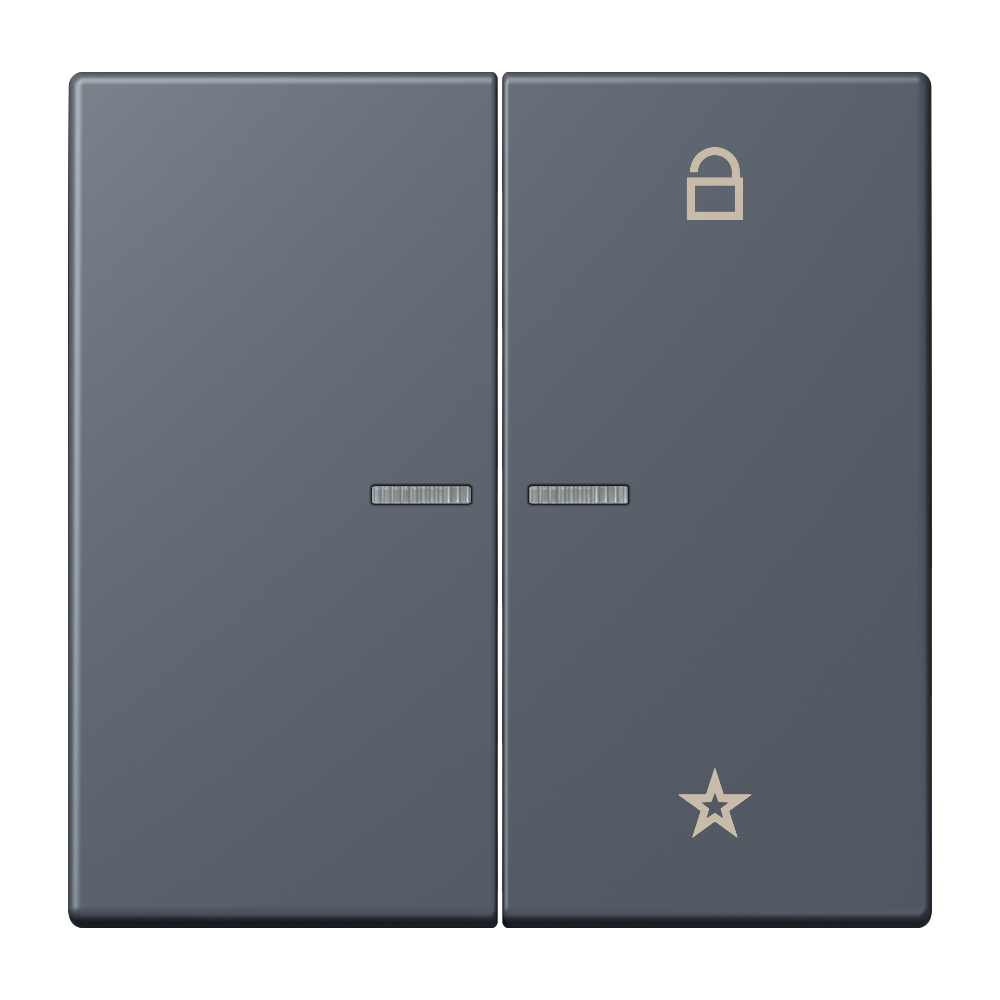 JUNG Bedienelement 2f gri_fon_59 m.Abd FM LC 1701 262 f.Dimmeins f.Schalteins