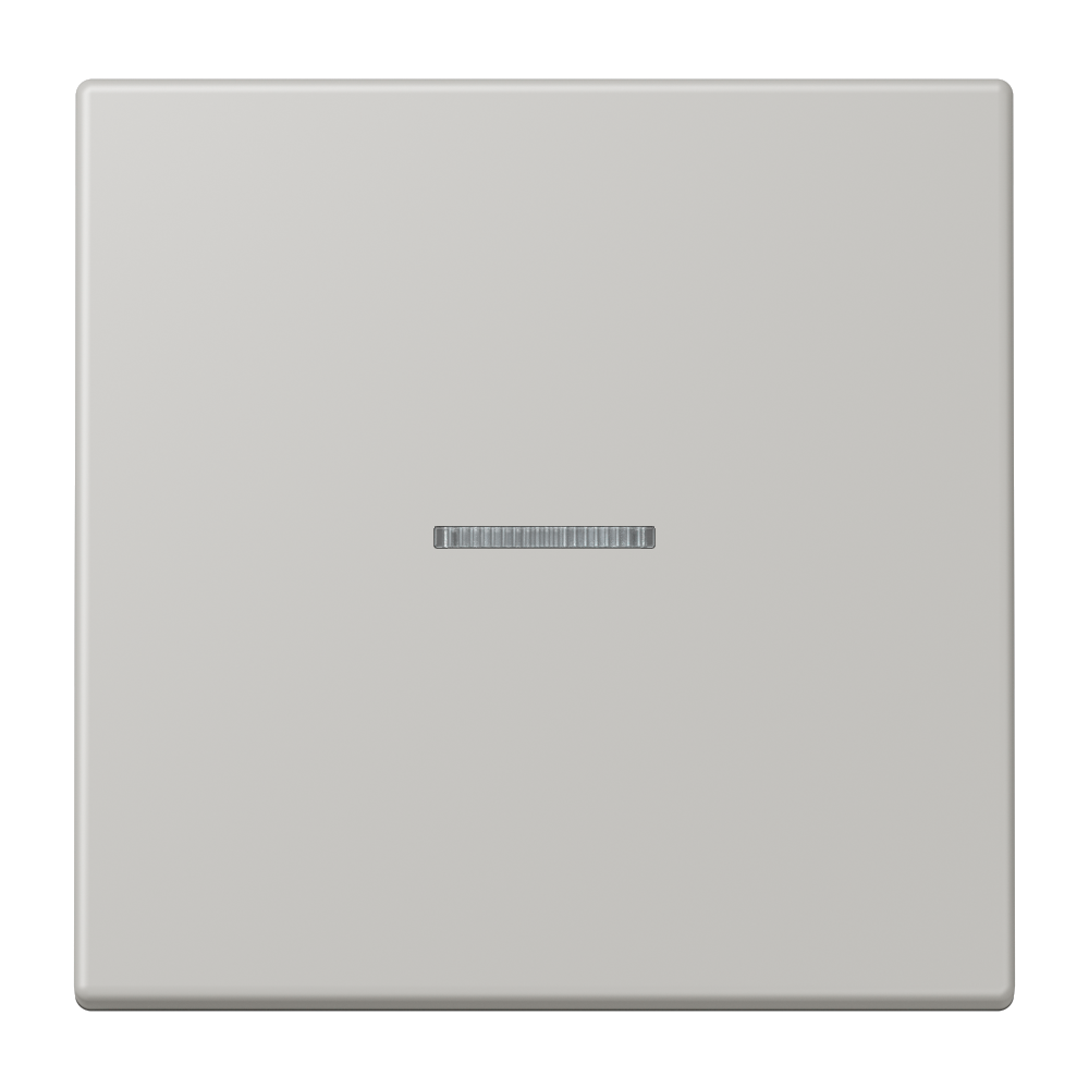 JUNG Kontrollwippe Schalter gri_cla_31 LC 101 KO5 205 f.Bussystem