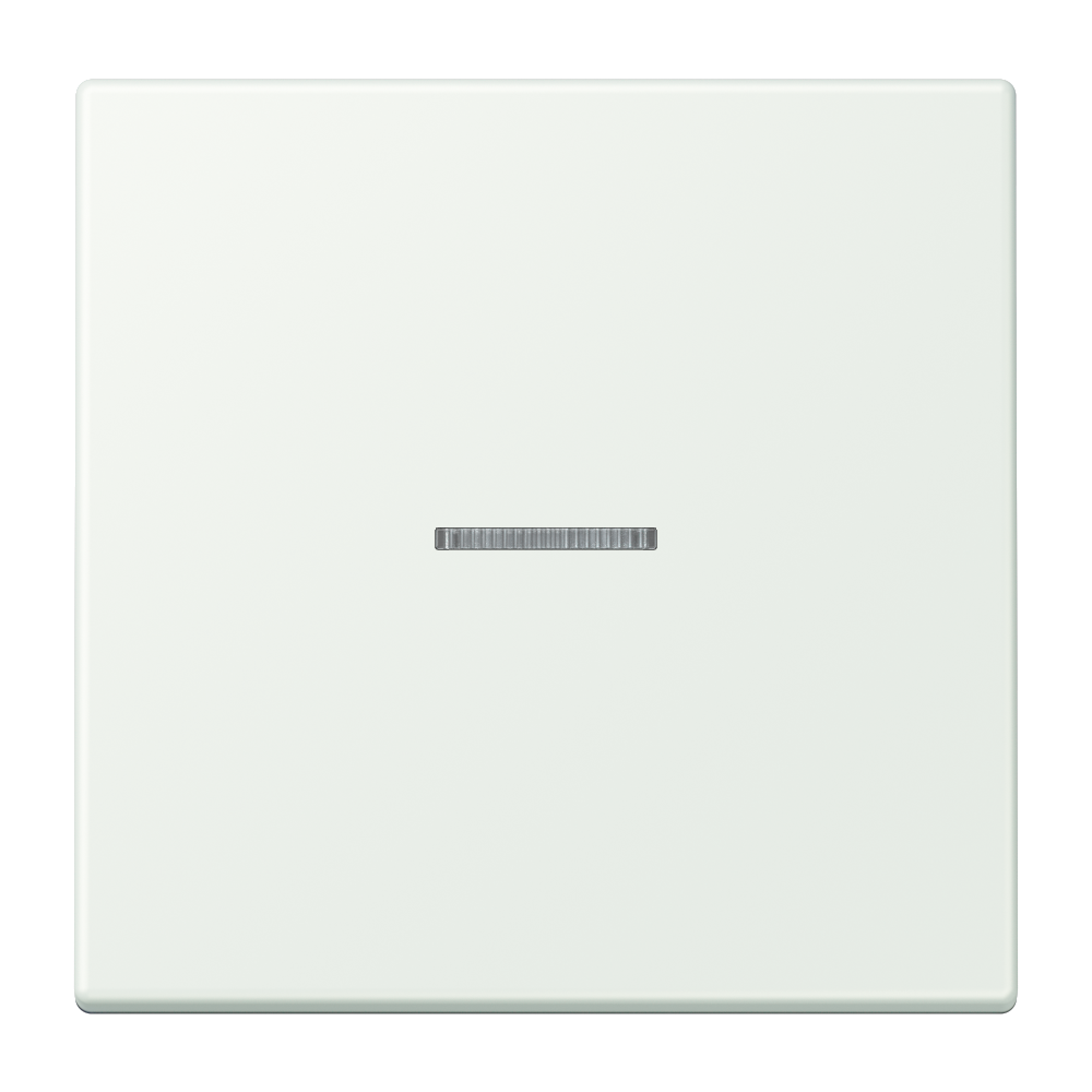JUNG Kontrollwippe Schalter out_gri LC 101 KO5 210 f.Bussystem