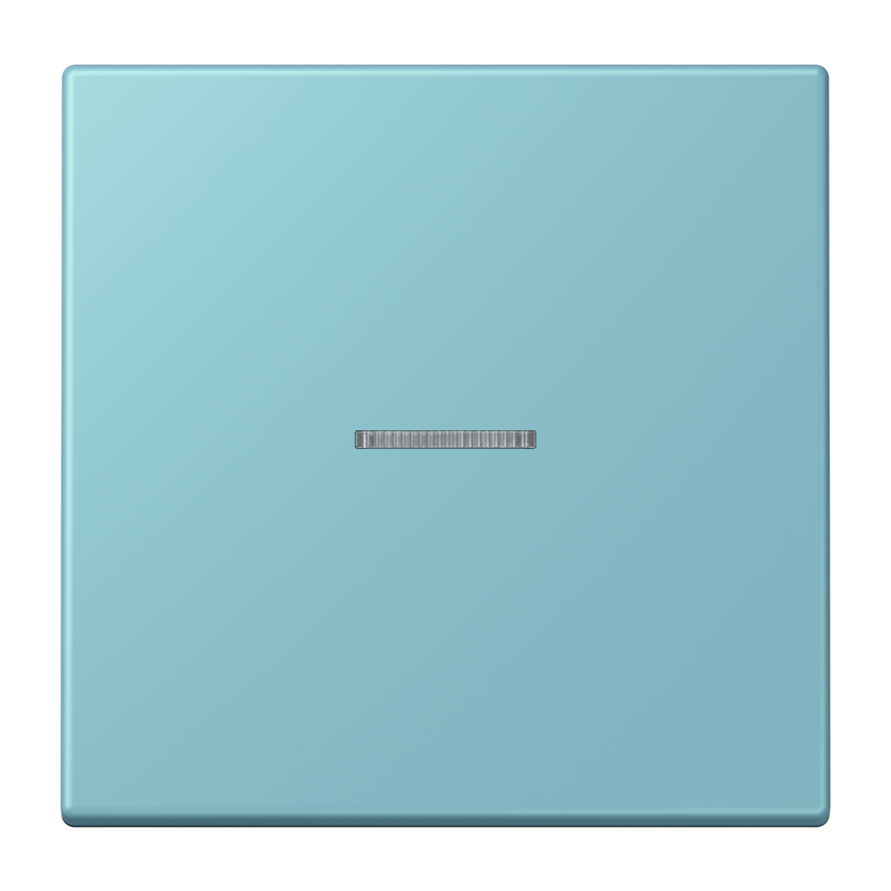JUNG Kontrollwippe Schalter cer_moy LC 101 KO5 213 f.Bussystem