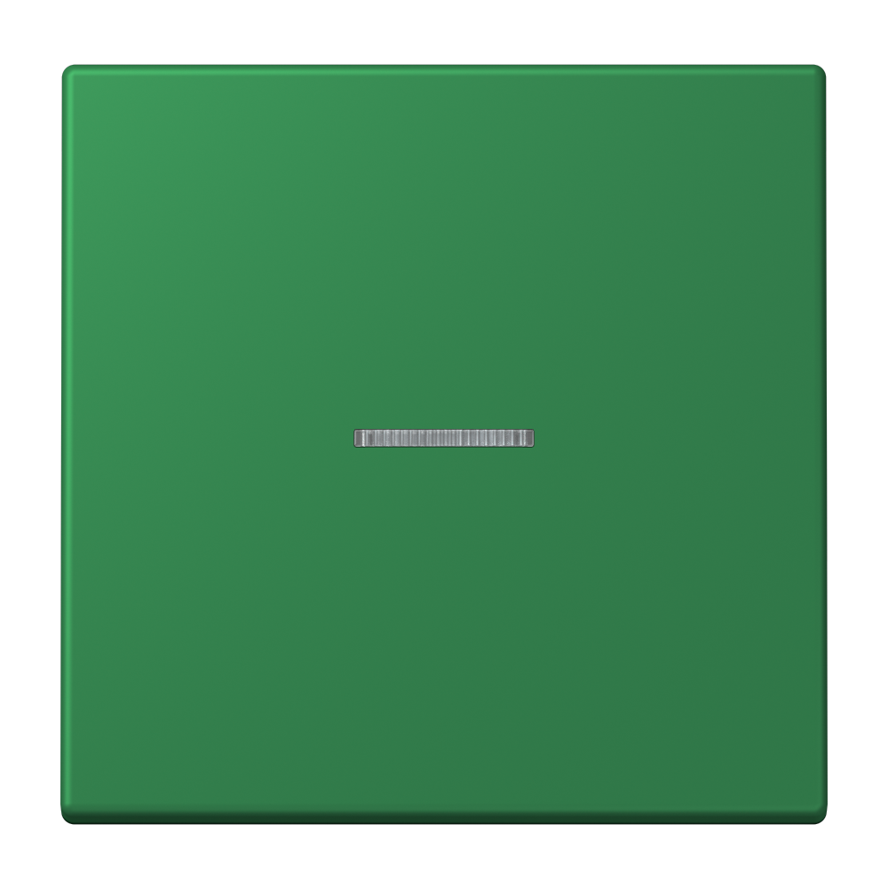 JUNG Kontrollwippe Schalter ver_fon LC 101 KO5 219 f.Bussystem