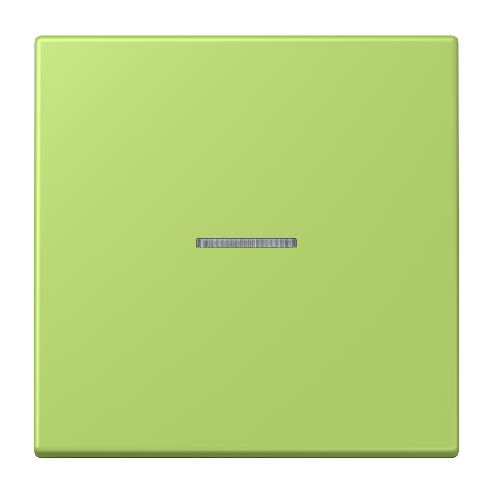 JUNG Kontrollwippe Schalter ver_cla LC 101 KO5 221 f.Bussystem