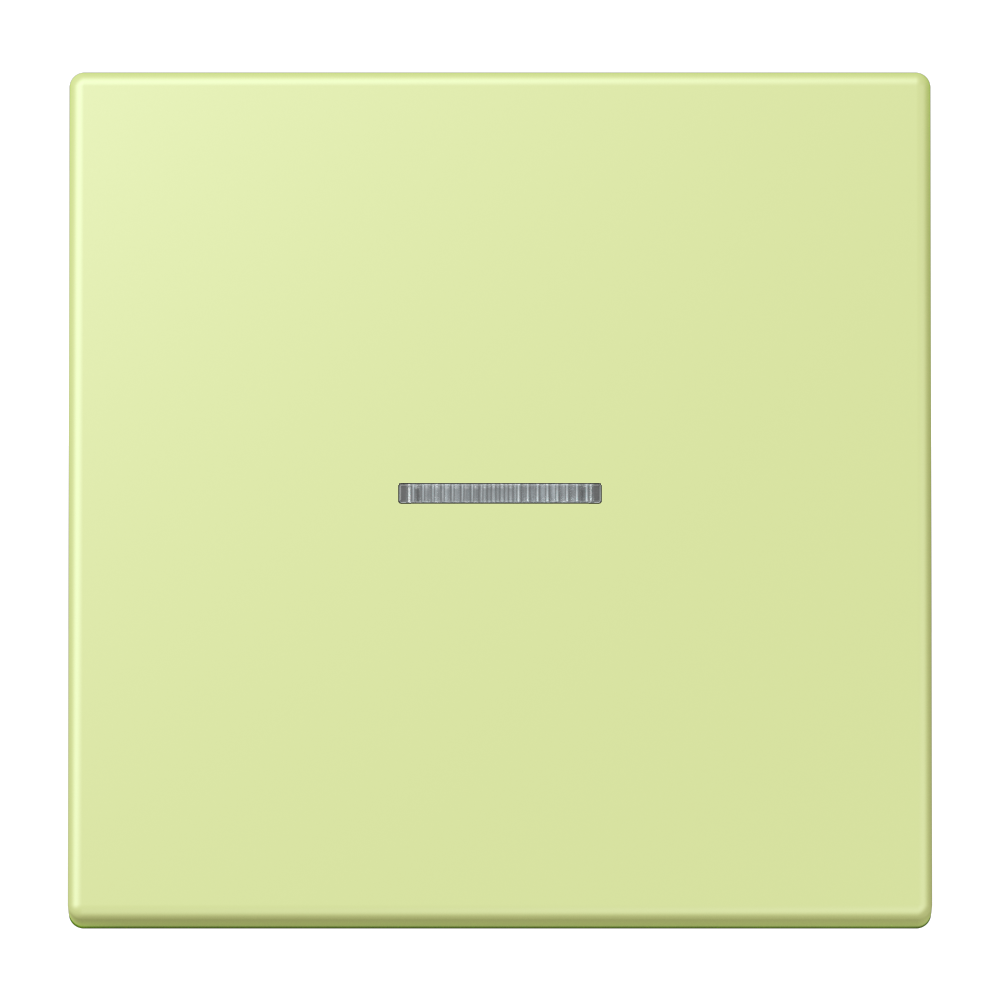 JUNG Kontrollwippe Schalter ver_jau_cla LC 101 KO5 222 f.Bussystem