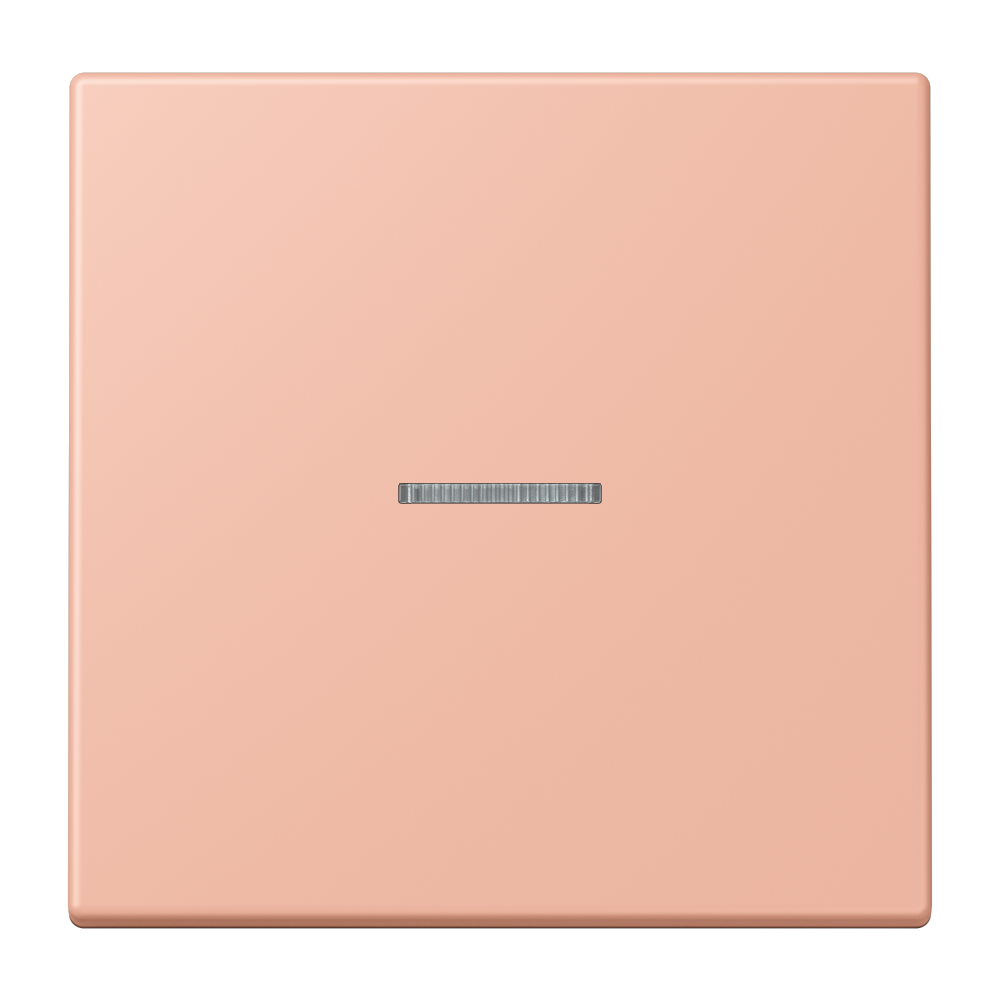 JUNG Kontrollwippe Schalter ros_cla LC 101 KO5 231 f.Bussystem