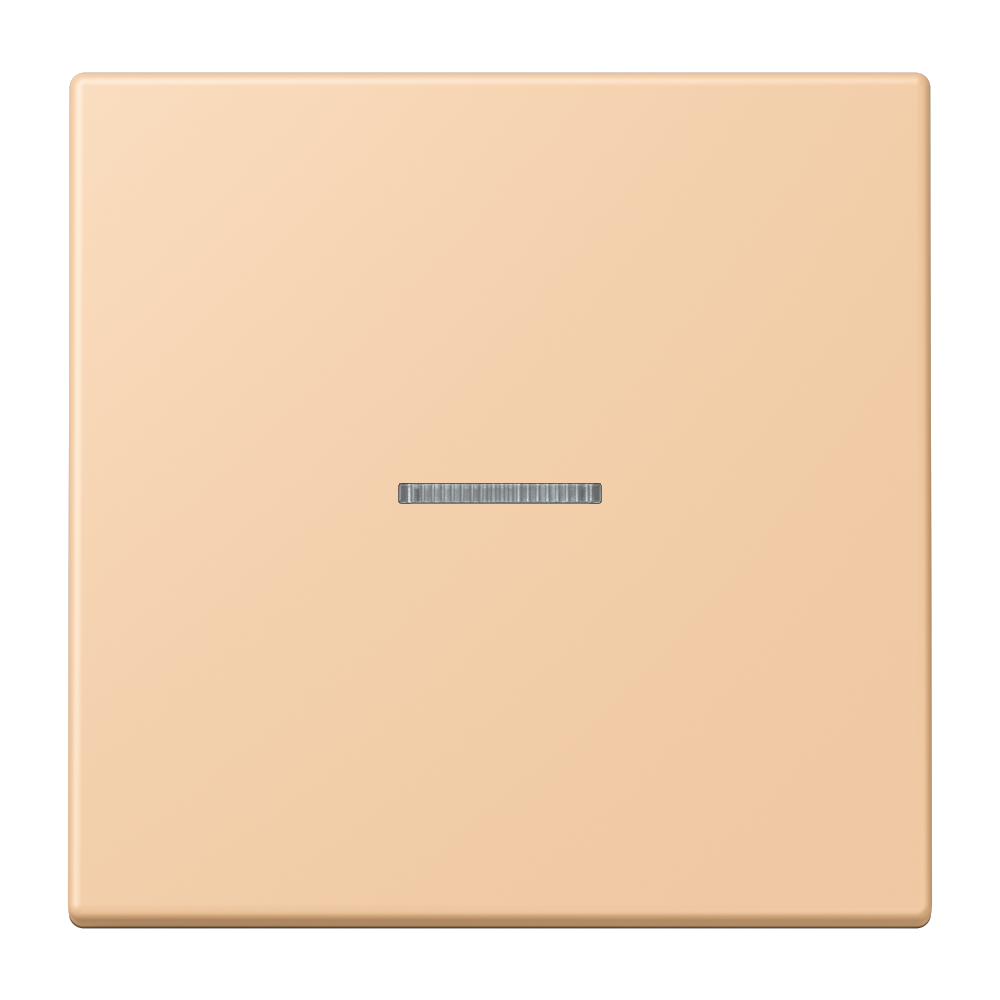 JUNG Kontrollwippe Schalter ter_sie_31 LC 101 KO5 237 f.Bussystem
