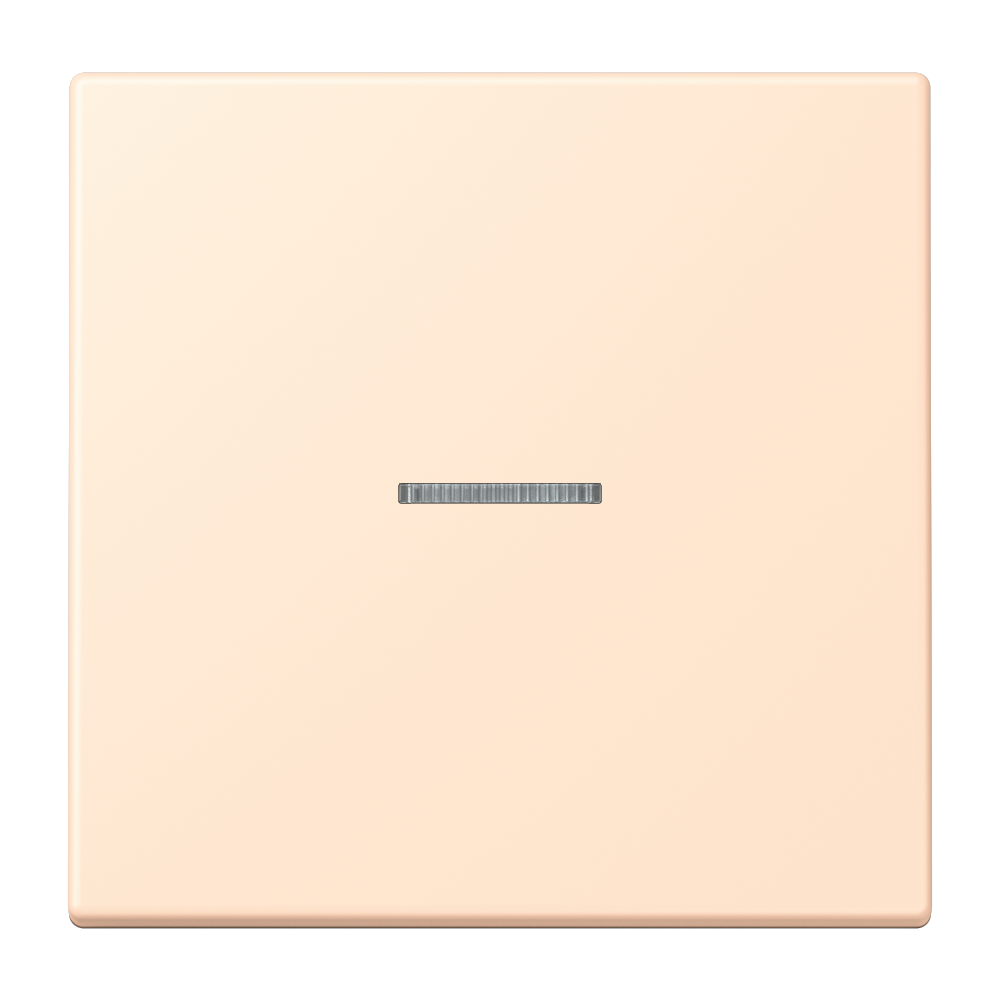 JUNG Kontrollwippe Schalter ter_sie_pal LC 101 KO5 238 f.Bussystem