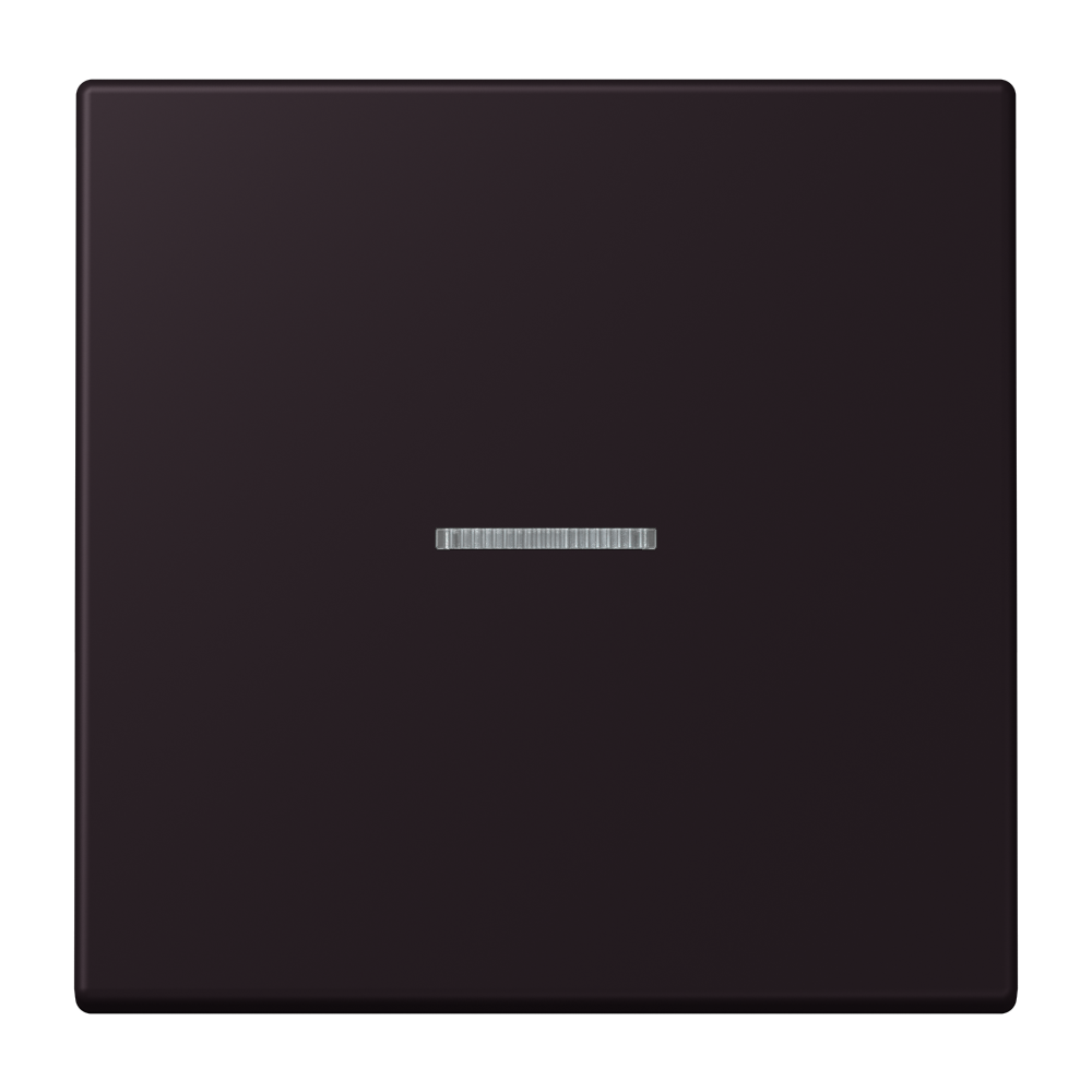 JUNG Kontrollwippe Schalter noi_d'i LC 101 KO5 248 f.Bussystem