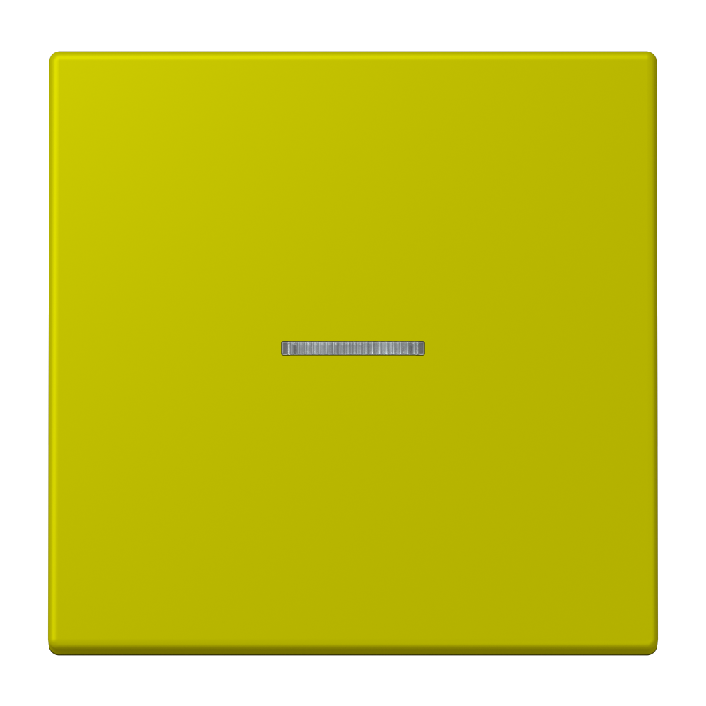 JUNG Kontrollwippe Schalter ver_oli_vif LC 101 KO5 249 f.Bussystem
