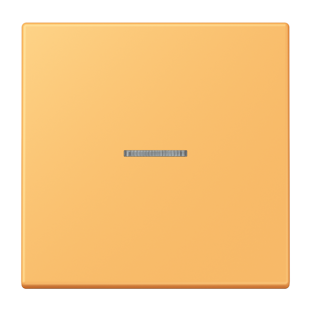 JUNG Kontrollwippe Schalter ocr_jau_cla LC 101 KO5 254 f.Bussystem