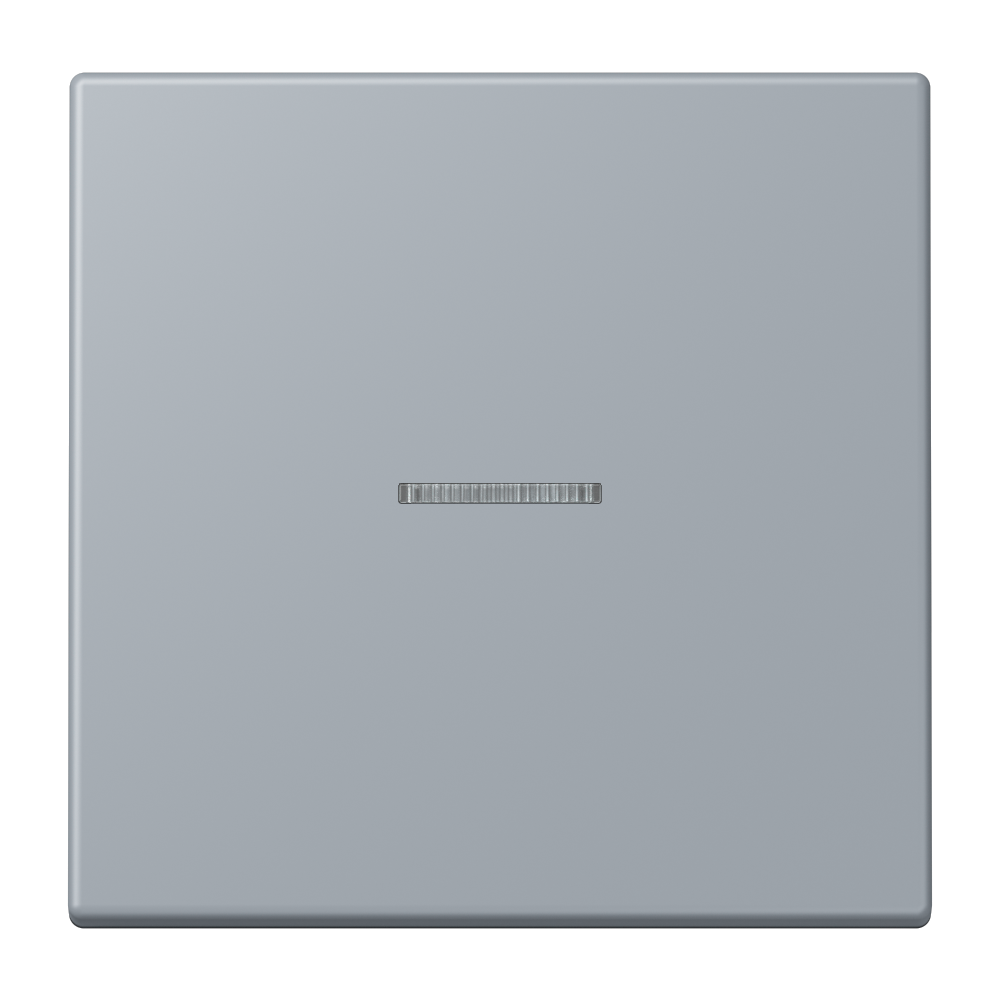 JUNG Kontrollwippe Schalter gri_cla_59 LC 101 KO5 257 f.Bussystem