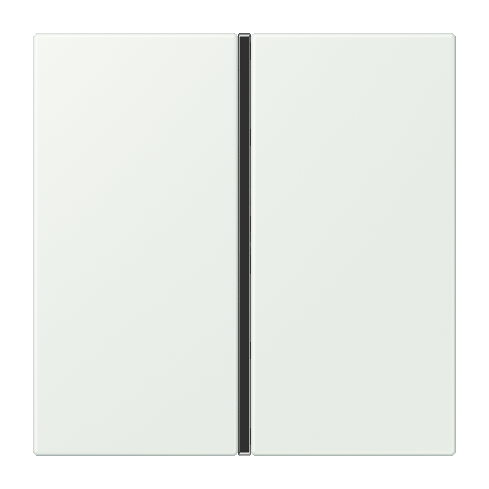 JUNG Wippe 1t Schalter out_gri mt LC 401 TSA 210 f.Bussystem