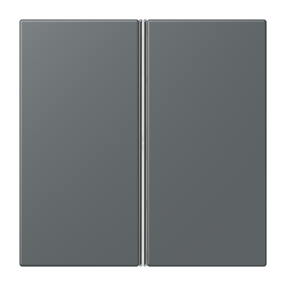 JUNG Wippe Serien Schalter gri_fon_31 mt LC 402 TSA 202 f.Bussystem
