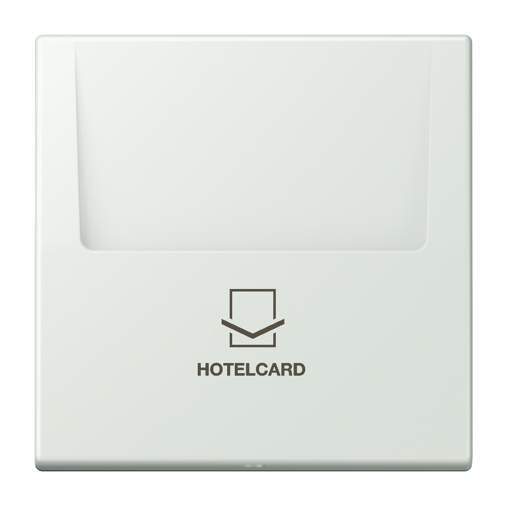 JUNG Hotelcard Schalter out_gri mt LS LC 590 CARD 210 Hotelcard