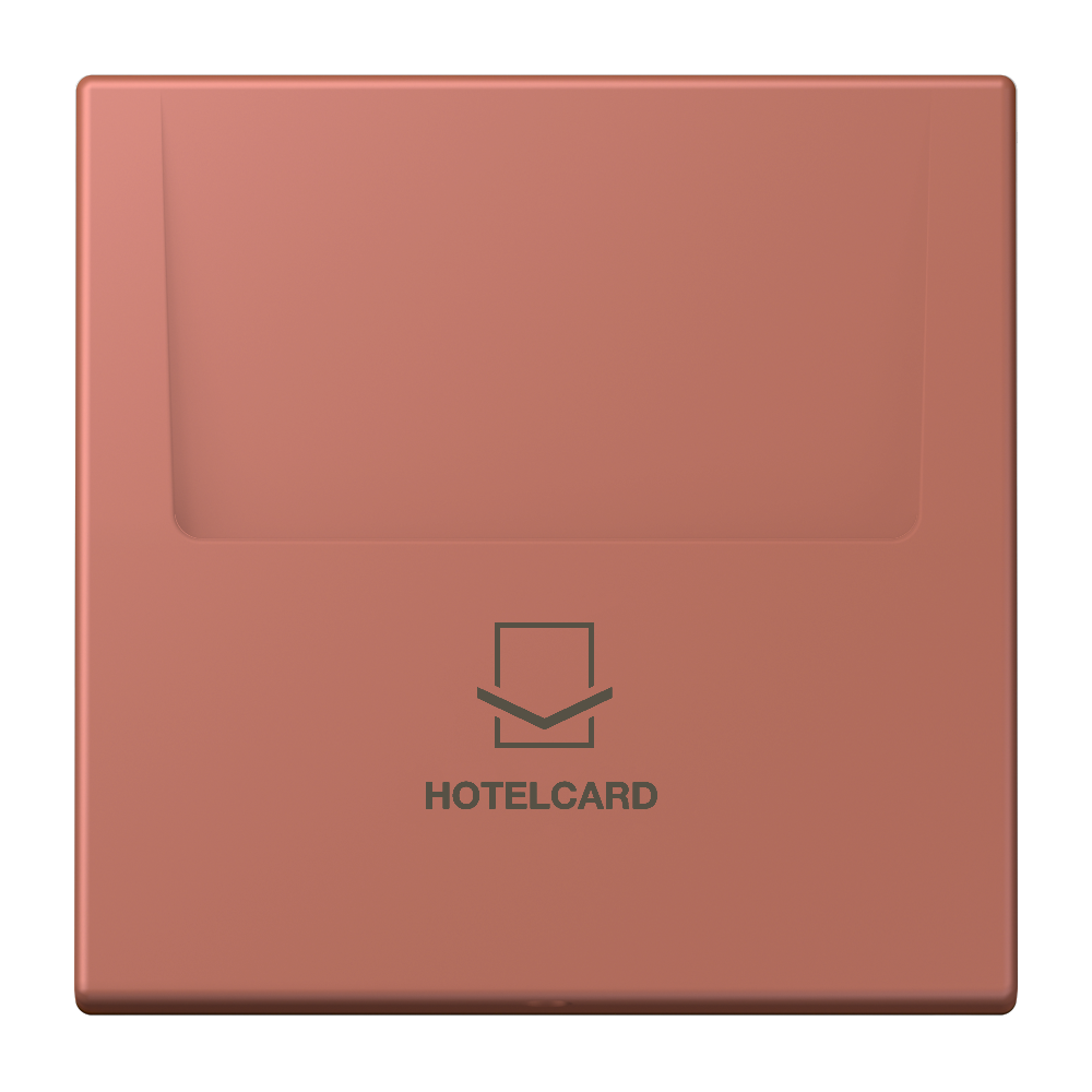 JUNG Hotelcard Schalter ter_sie_briq mt LS LC 590 CARD 236 Hotelcard