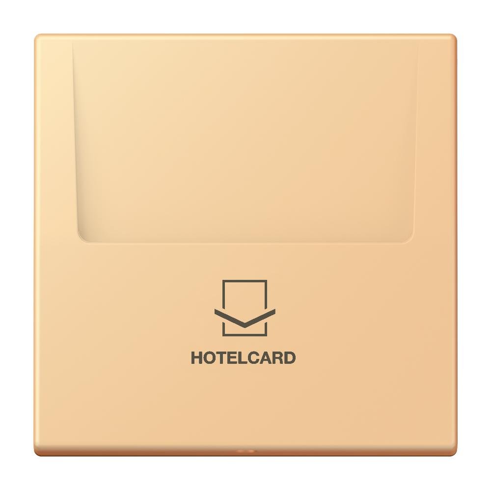 JUNG Hotelcard Schalter ter_sie_59 mt LS LC 590 CARD 258 Hotelcard