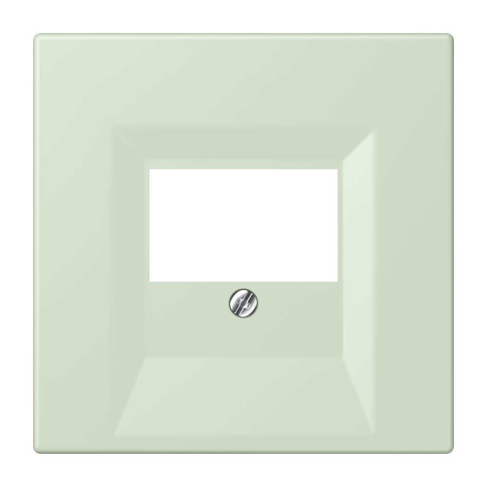 JUNG Zentralplatte TAE ver_ang_pal LC 969 T 218 Schraubbef