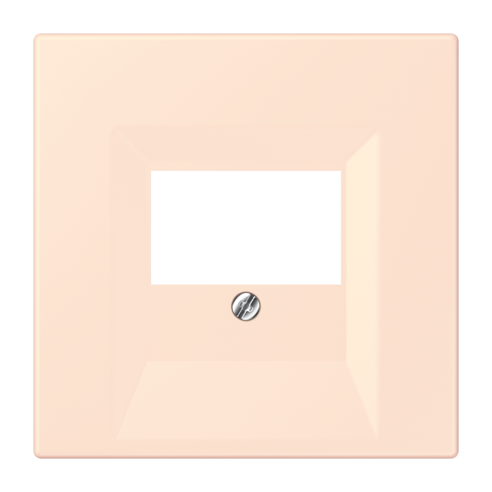 JUNG Zentralplatte TAE or_pal Schraubbef LC 969 T 226 ohne Beschriftungsfeld