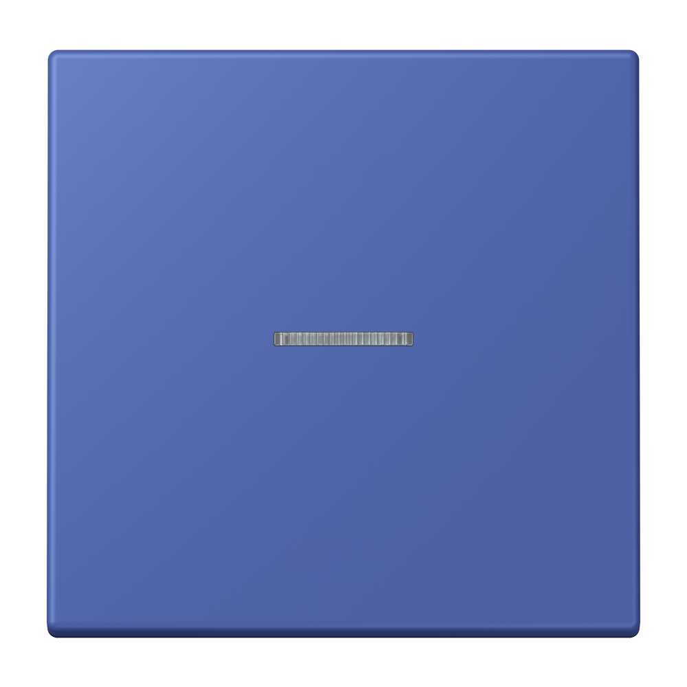 JUNG Kontrollwippe Schalter ble_out_31 LC 990 KO5 206 mt f.Bussystem