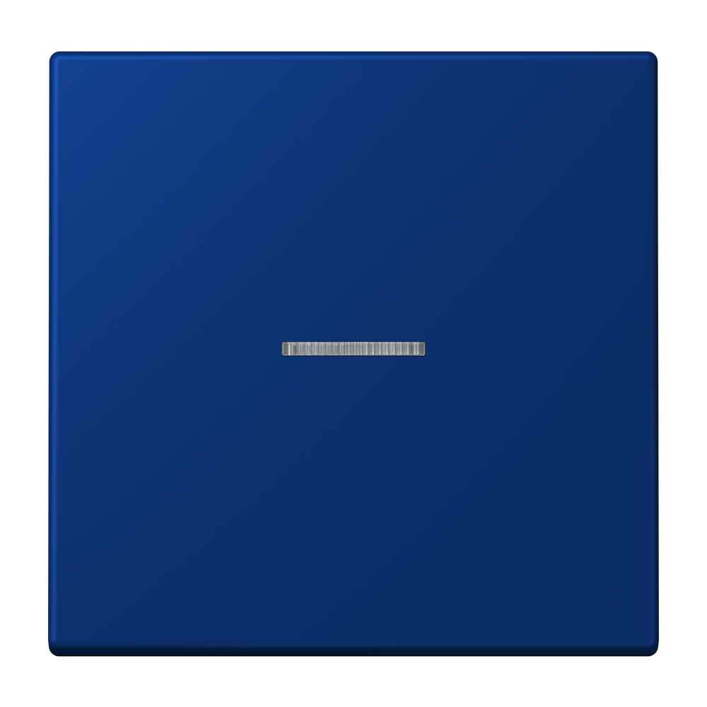 JUNG Kontrollwippe Schalter ble_out_fon LC 990 KO5 261 mt f.Bussystem
