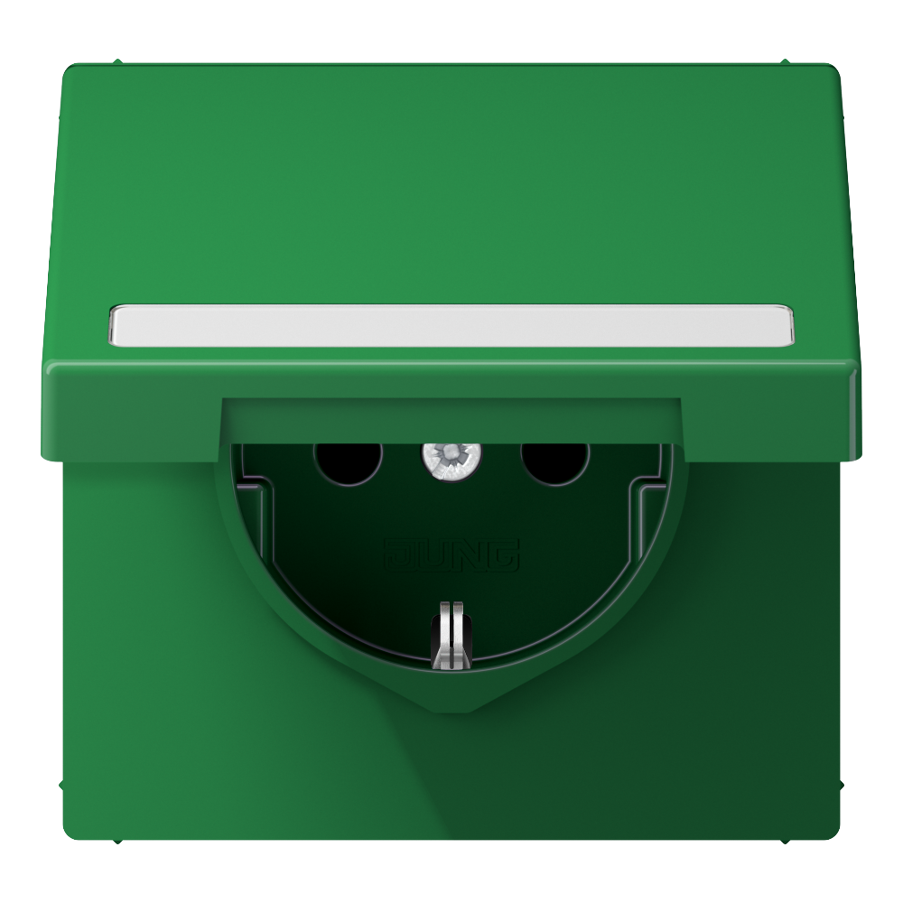 JUNG Steckdose 1f gn glz UP Klappd IP20 LS 1520 BFNAKL GN BSF vert